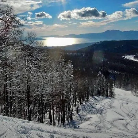 Sandi - Free Parking Hotel 4*