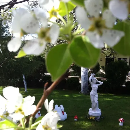 Sandi - Free Parking Hotel 4*