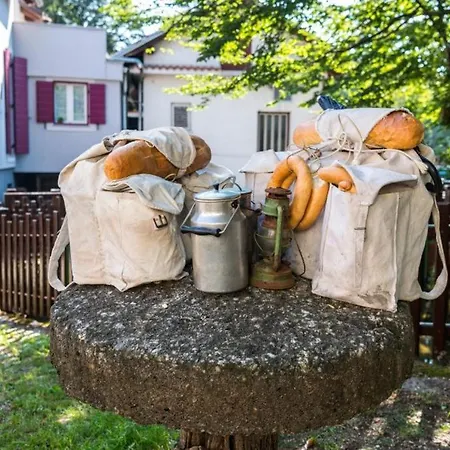 Sandi - Free Parking Čavle