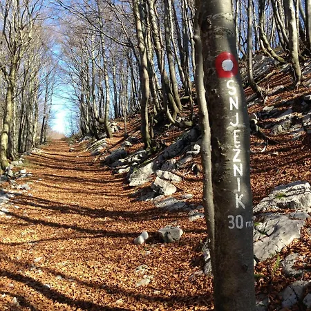 Sandi - Free Parking 4*