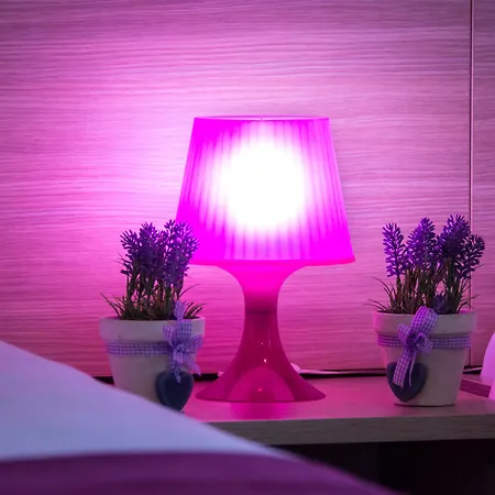 Sandi - Free Parking 4*