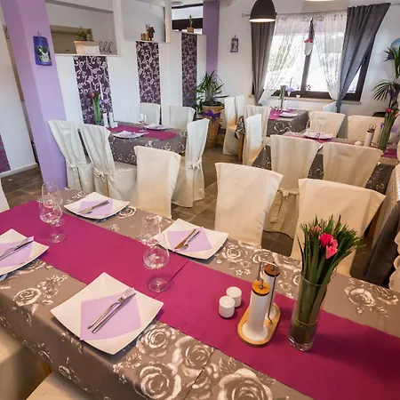 Sandi - Free Parking 4*