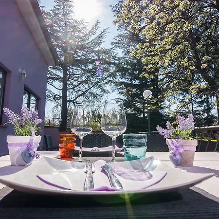 Sandi - Free Parking Čavle