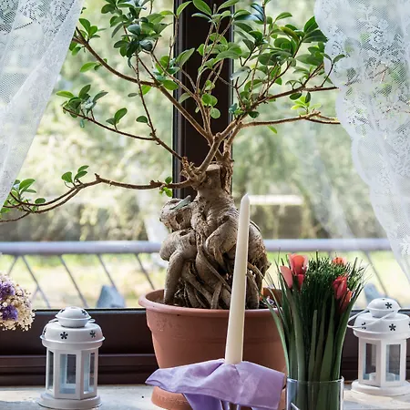 Sandi - Free Parking Hotel Čavle