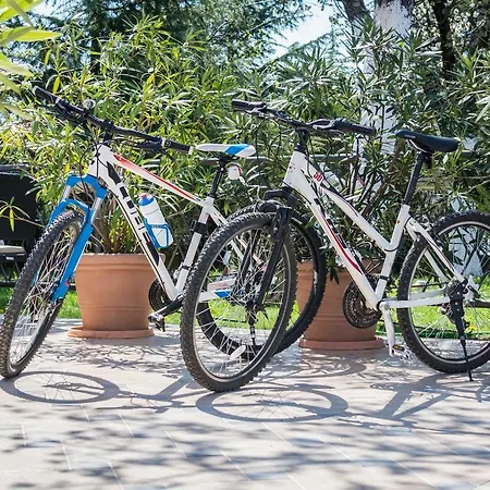 Sandi - Free Parking 4*