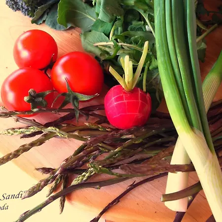 Sandi - Free Parking 4*