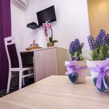 Sandi - Free Parking Otel 4*