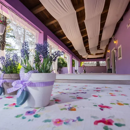 Sandi - Free Parking Otel 4*