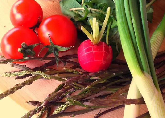 Sandi - Free Parking 4*