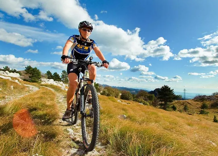 Otel Sandi - Free Parking Čavle