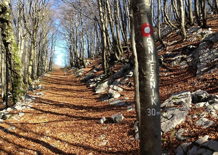 Sandi - Free Parking 4*