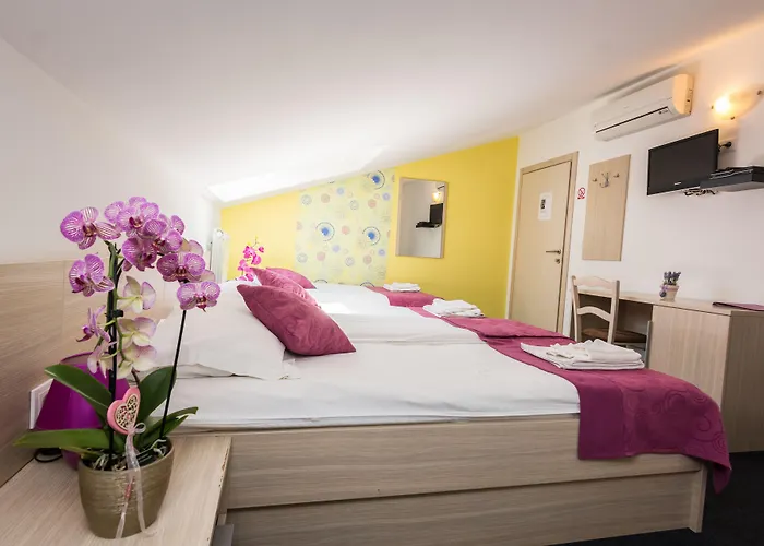 Sandi - Free Parking Otel Čavle