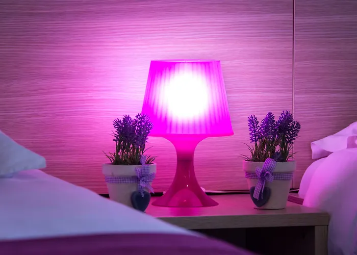 Sandi - Free Parking 4*