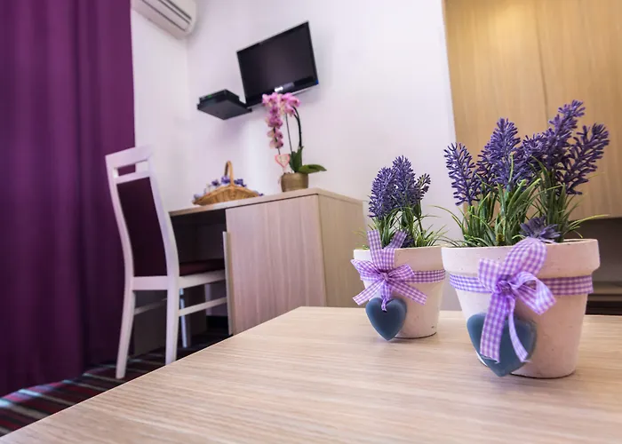 Sandi - Free Parking Otel 4*