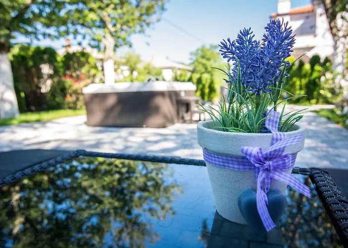 Otel Sandi - Free Parking 4*