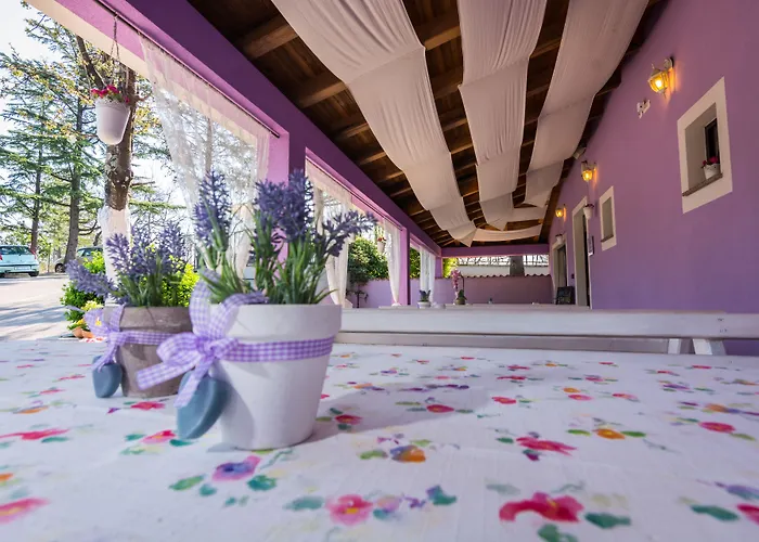 Sandi - Free Parking Otel 4*