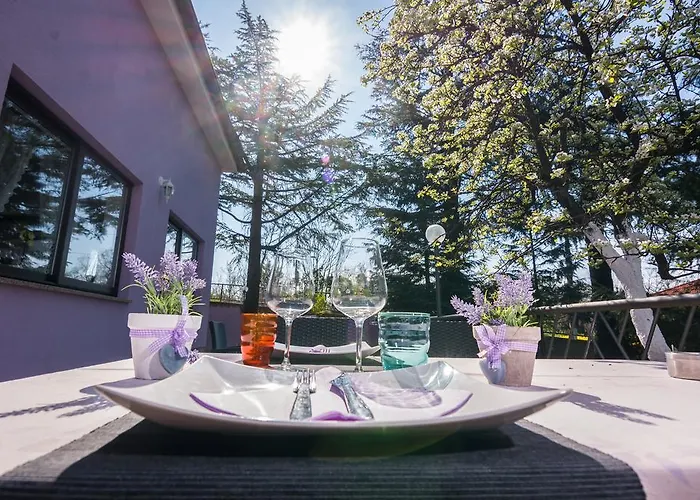 Otel Sandi - Free Parking Čavle